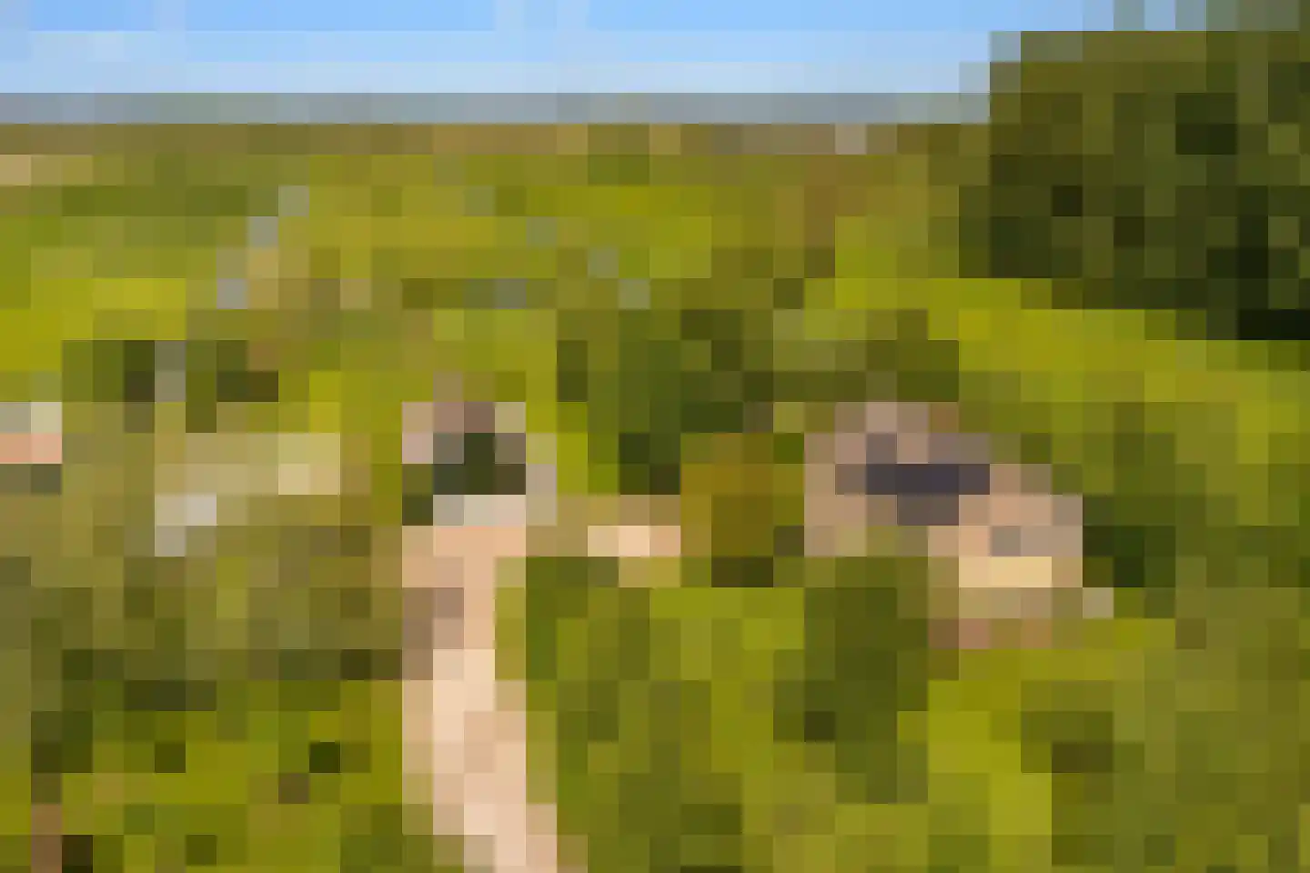 Botsholsedwarsweg 2 C Waverveen thumbnail 21