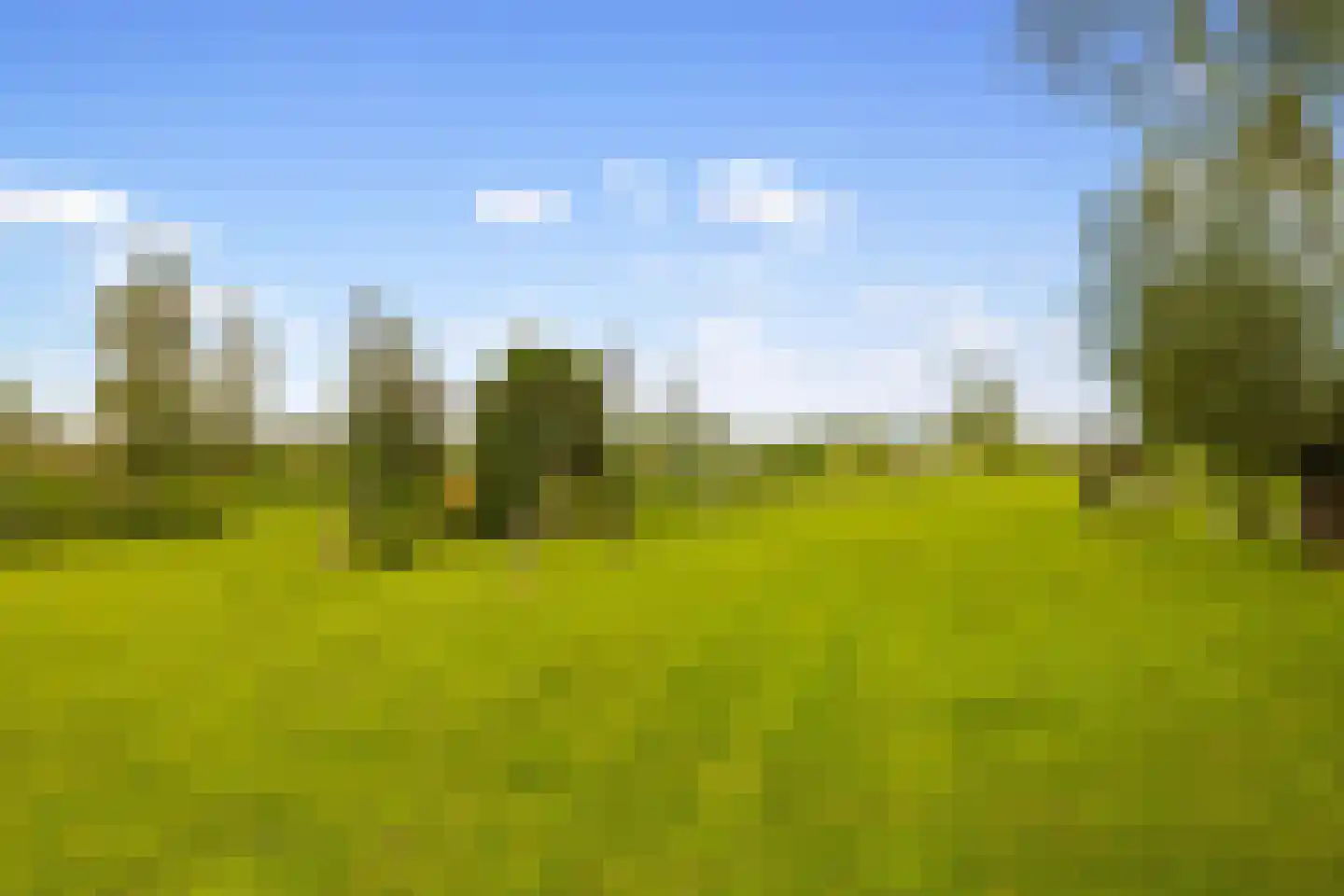 Botsholsedwarsweg 2 C Waverveen thumbnail 26