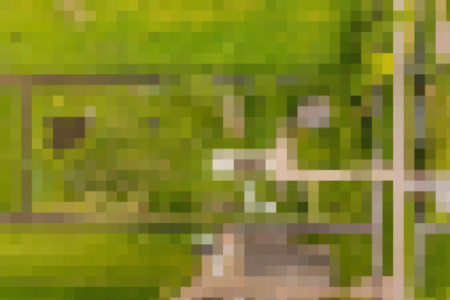 Botsholsedwarsweg 2 C Waverveen thumbnail 27