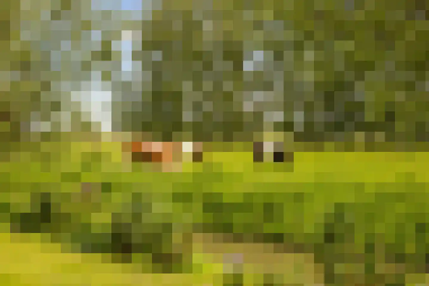 Botsholsedwarsweg 2 C Waverveen thumbnail 28