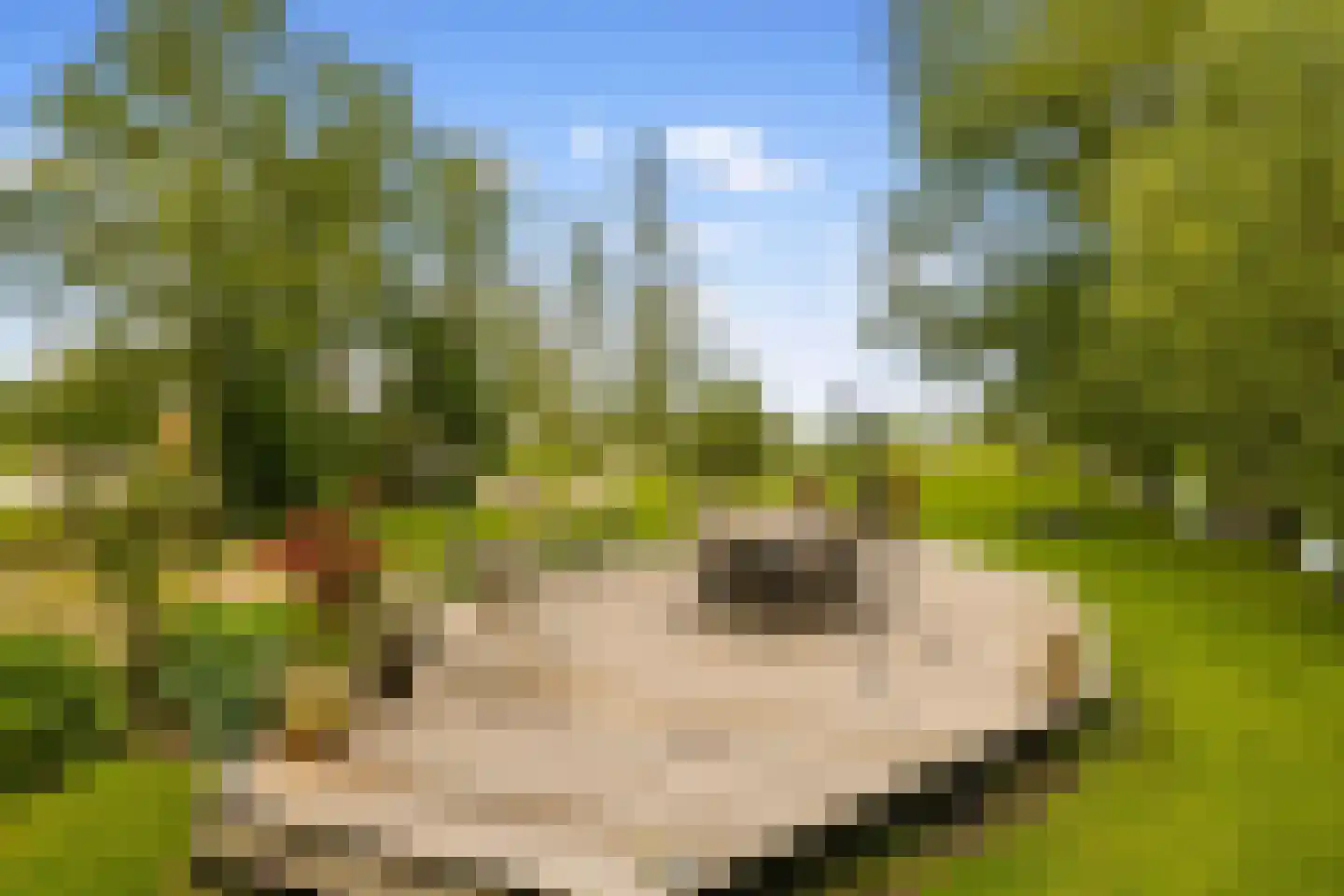 Botsholsedwarsweg 2 C Waverveen thumbnail 29