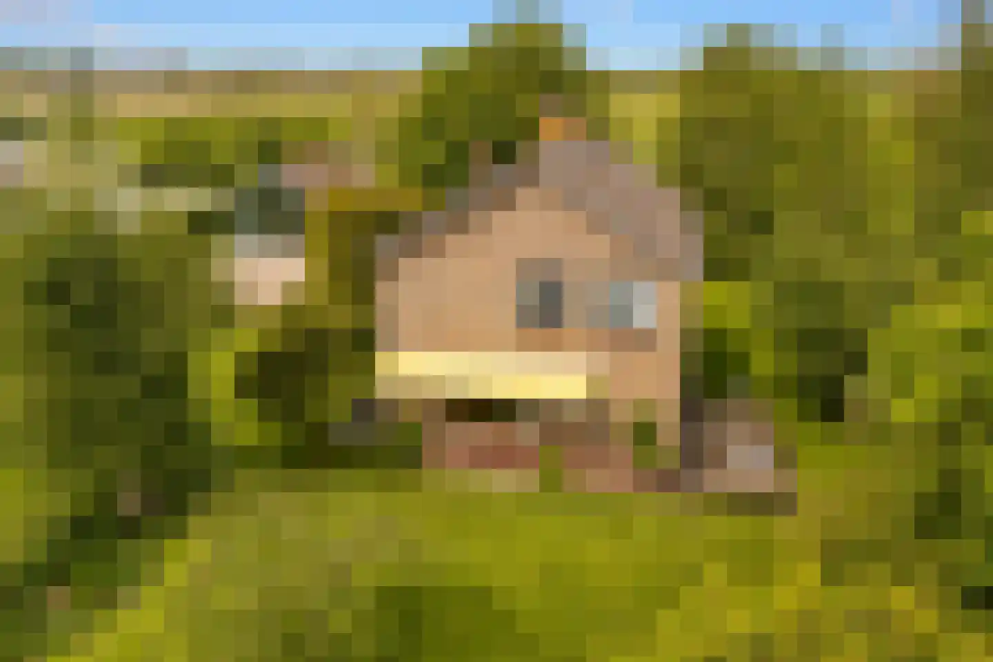 Botsholsedwarsweg 2 C Waverveen thumbnail 41