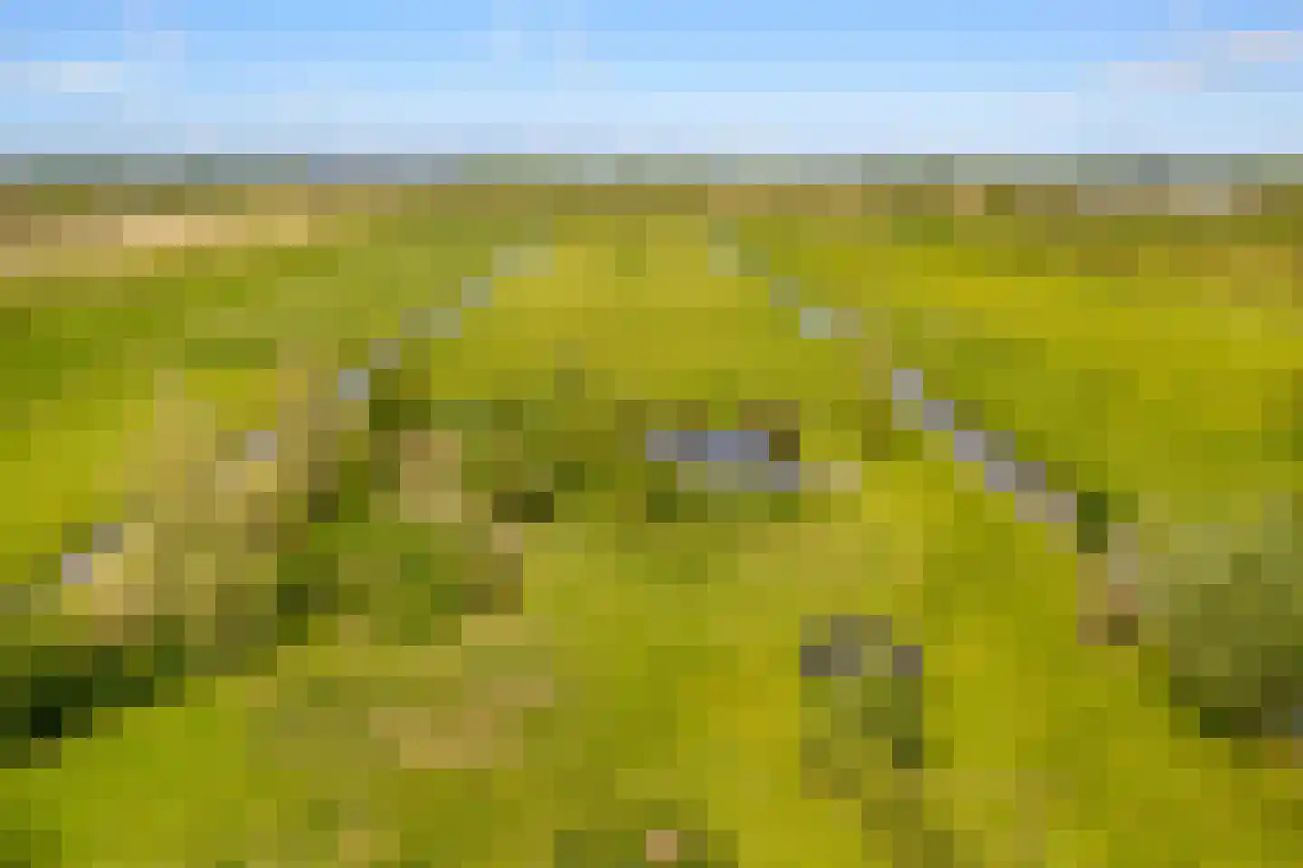 Botsholsedwarsweg 2 C Waverveen thumbnail 42