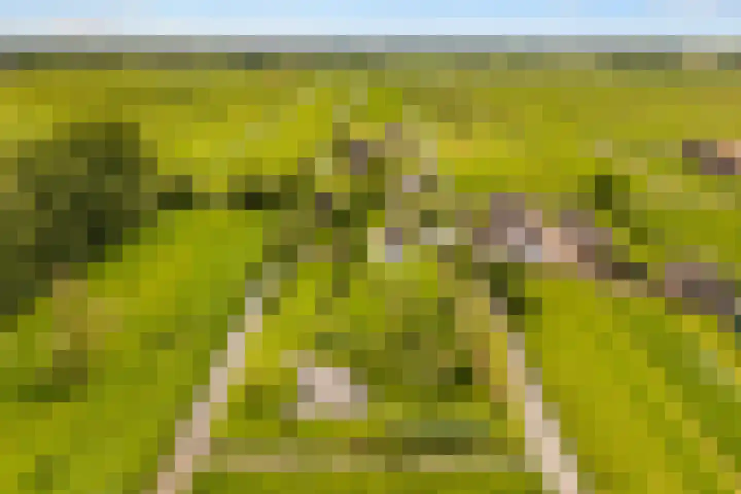 Botsholsedwarsweg 2 C Waverveen thumbnail 43