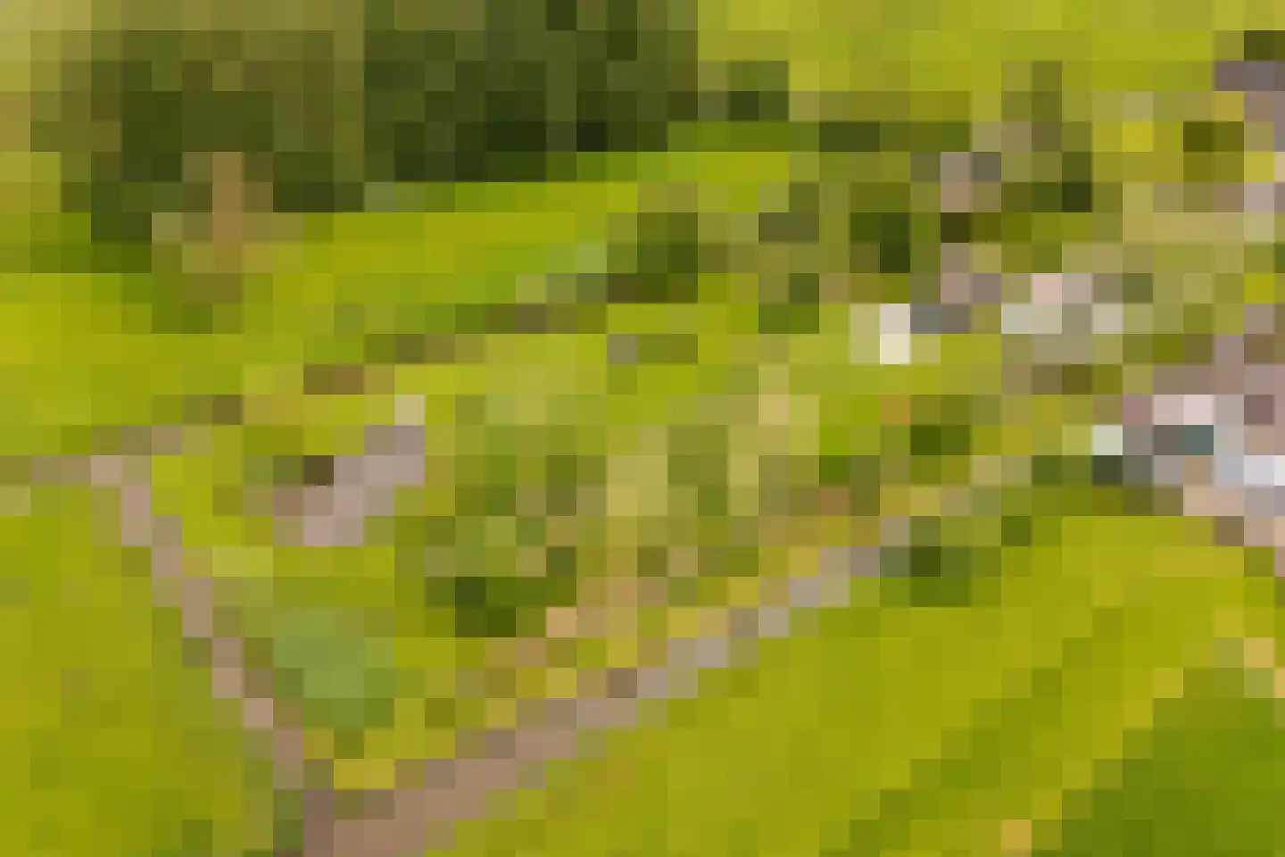 Botsholsedwarsweg 2 C Waverveen thumbnail 44