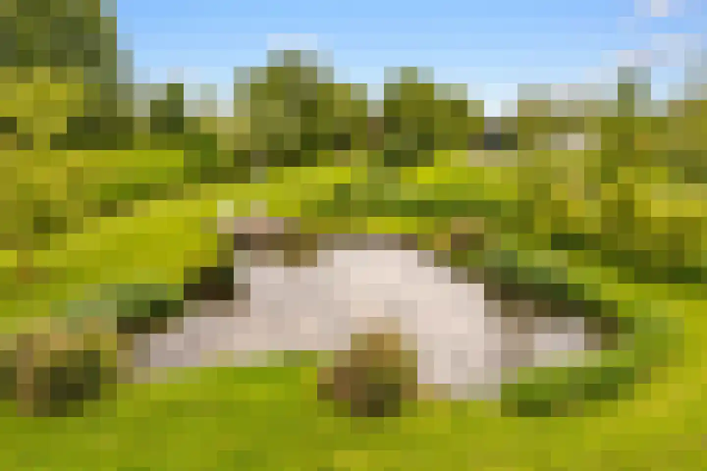 Botsholsedwarsweg 2 C Waverveen thumbnail 46
