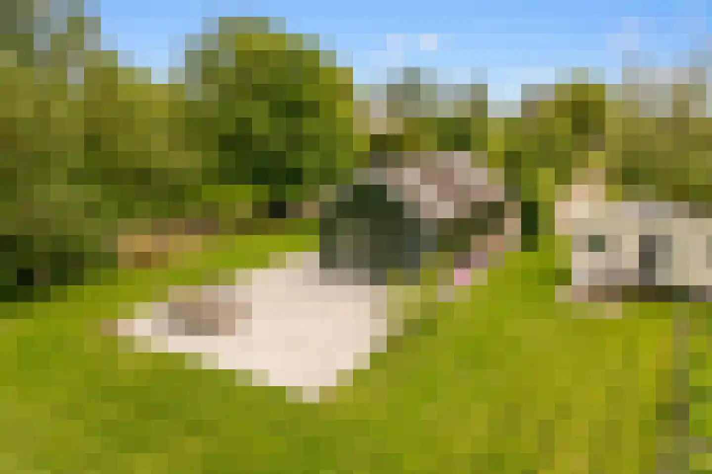 Botsholsedwarsweg 2 C Waverveen thumbnail 48