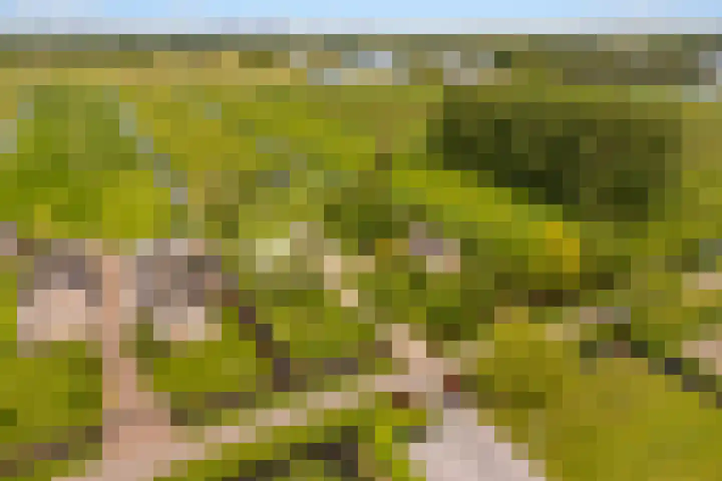 Botsholsedwarsweg 2 C Waverveen thumbnail 5