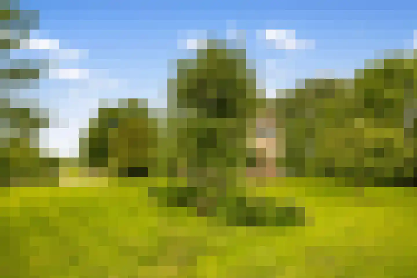 Botsholsedwarsweg 2 C Waverveen thumbnail 52