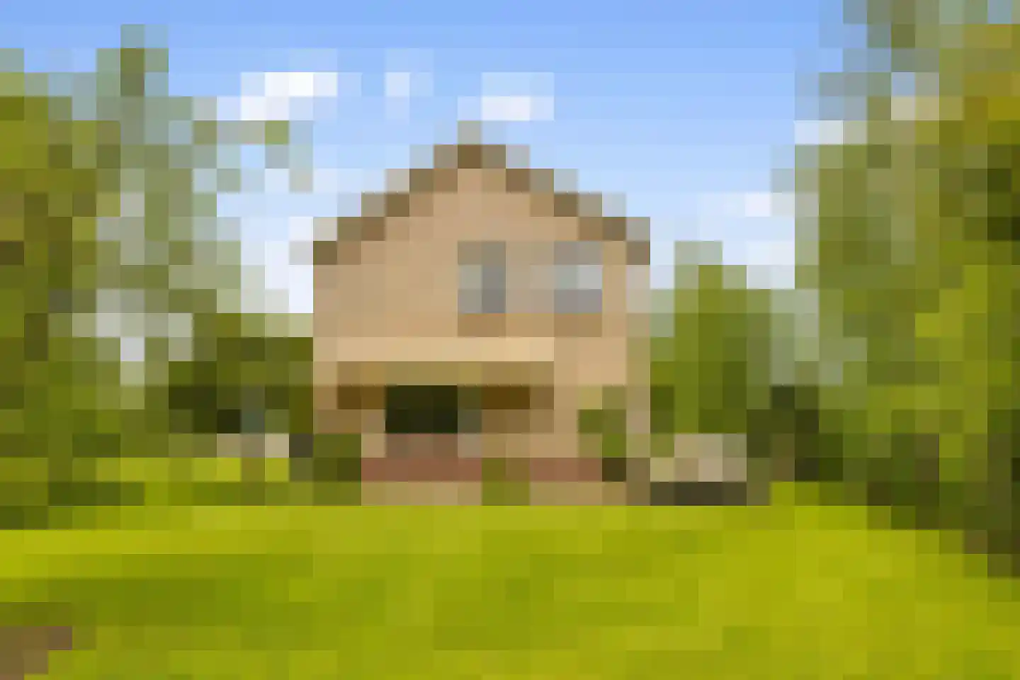 Botsholsedwarsweg 2 C Waverveen thumbnail 54