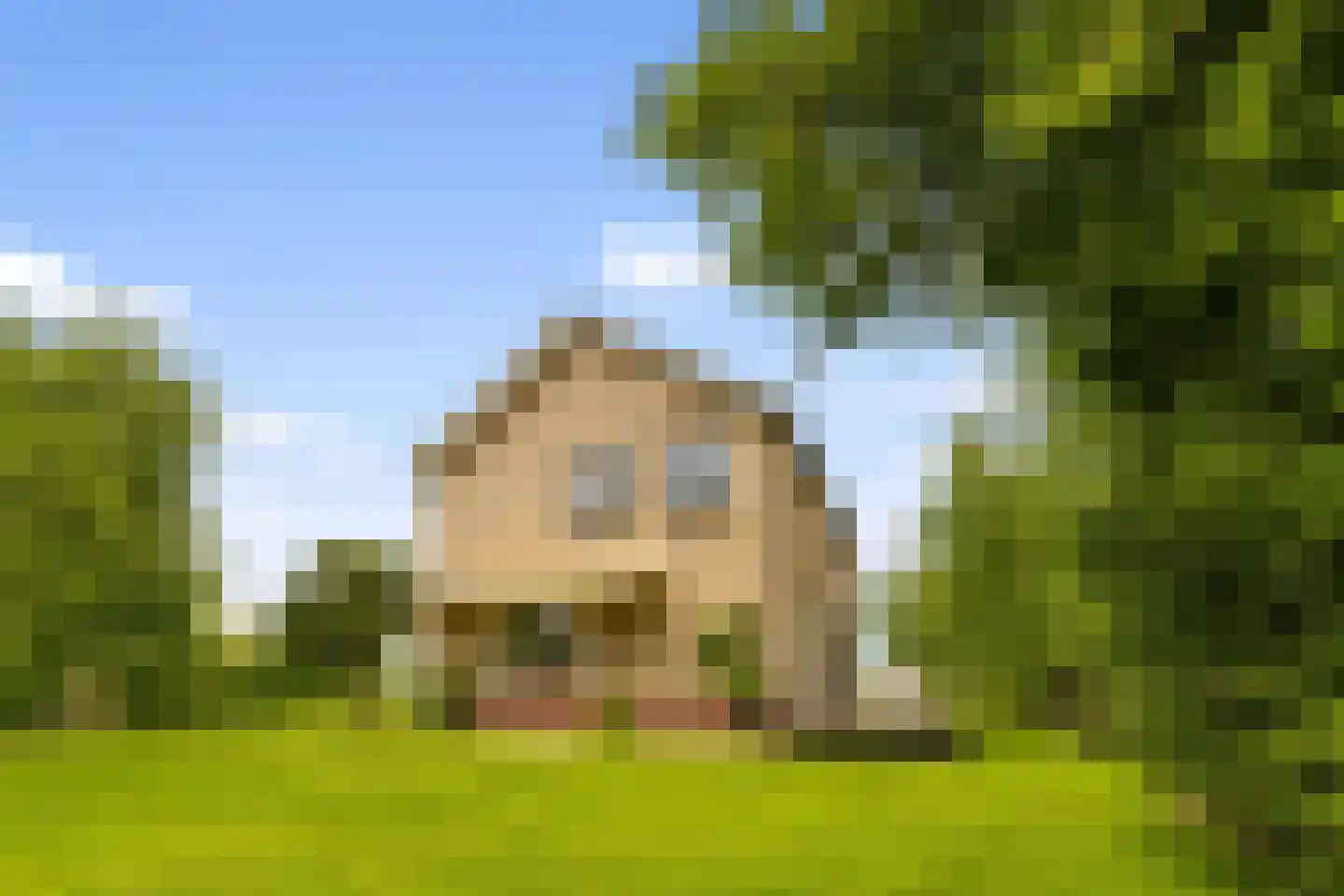 Botsholsedwarsweg 2 C Waverveen thumbnail 55