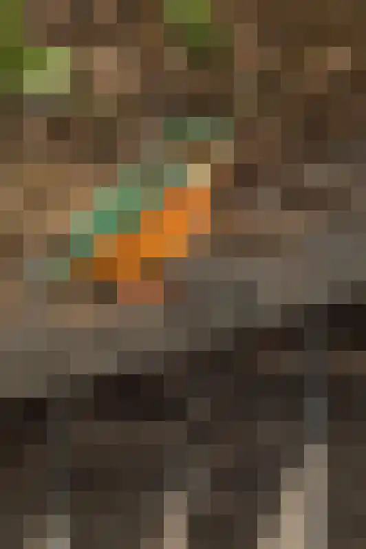 Botsholsedwarsweg 2 C Waverveen thumbnail 64