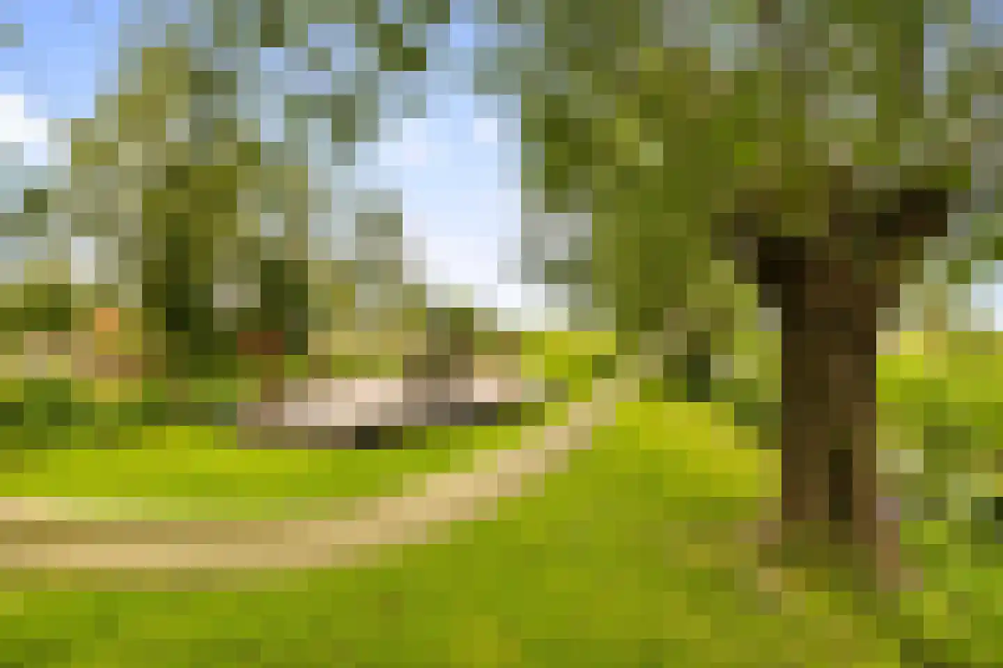Botsholsedwarsweg 2 C Waverveen thumbnail 7