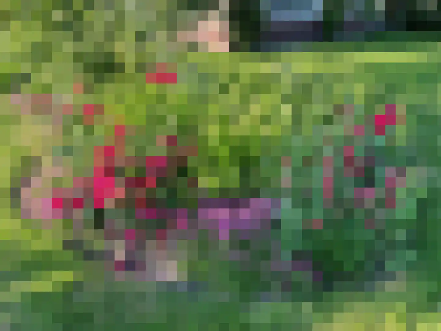 Botsholsedwarsweg 2 C Waverveen thumbnail 71