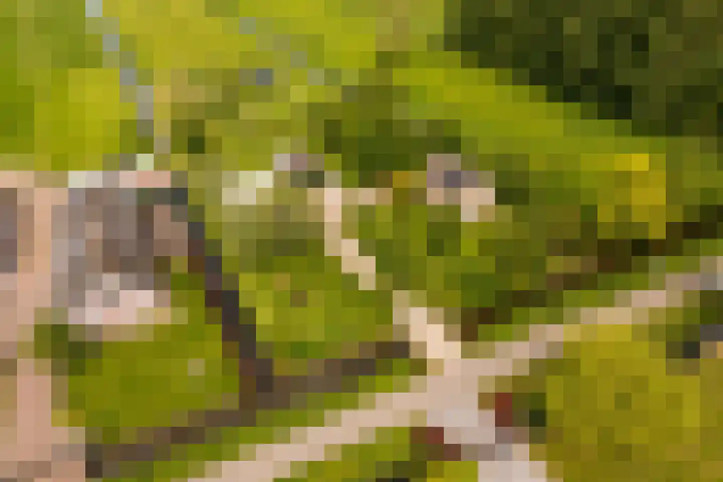 Botsholsedwarsweg 2 C Waverveen thumbnail 72