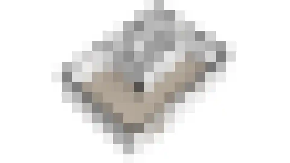Botsholsedwarsweg 2 C Waverveen thumbnail 75