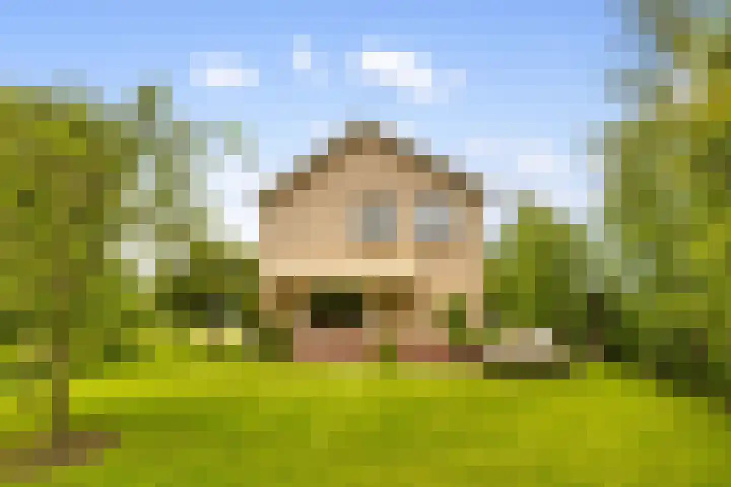Botsholsedwarsweg 2 Waverveen thumbnail 19