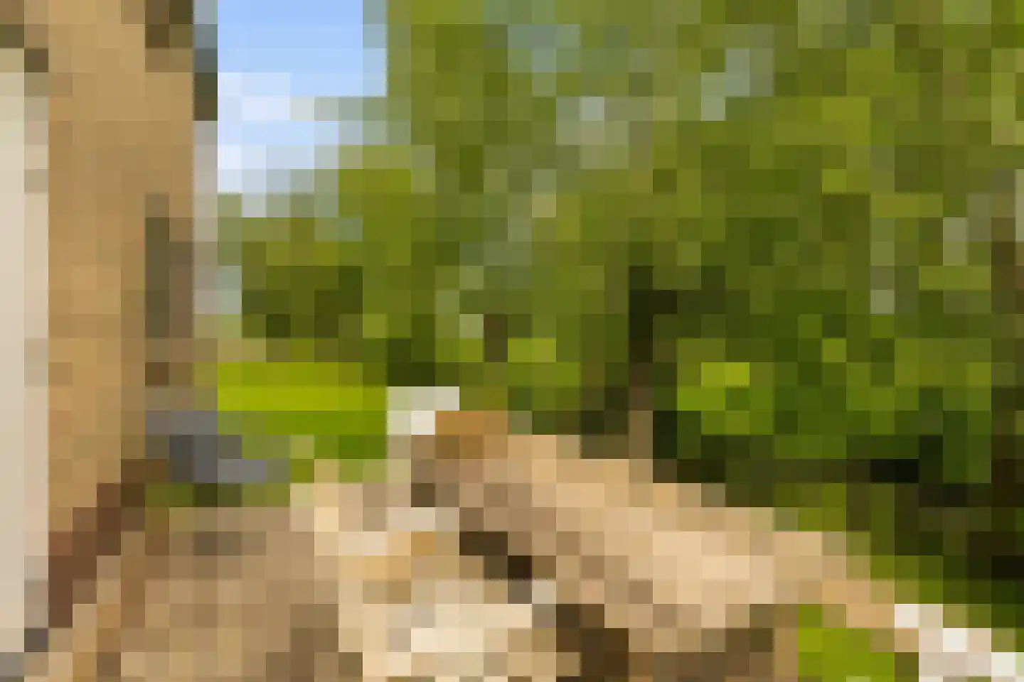 Botsholsedwarsweg 2 Waverveen thumbnail 20