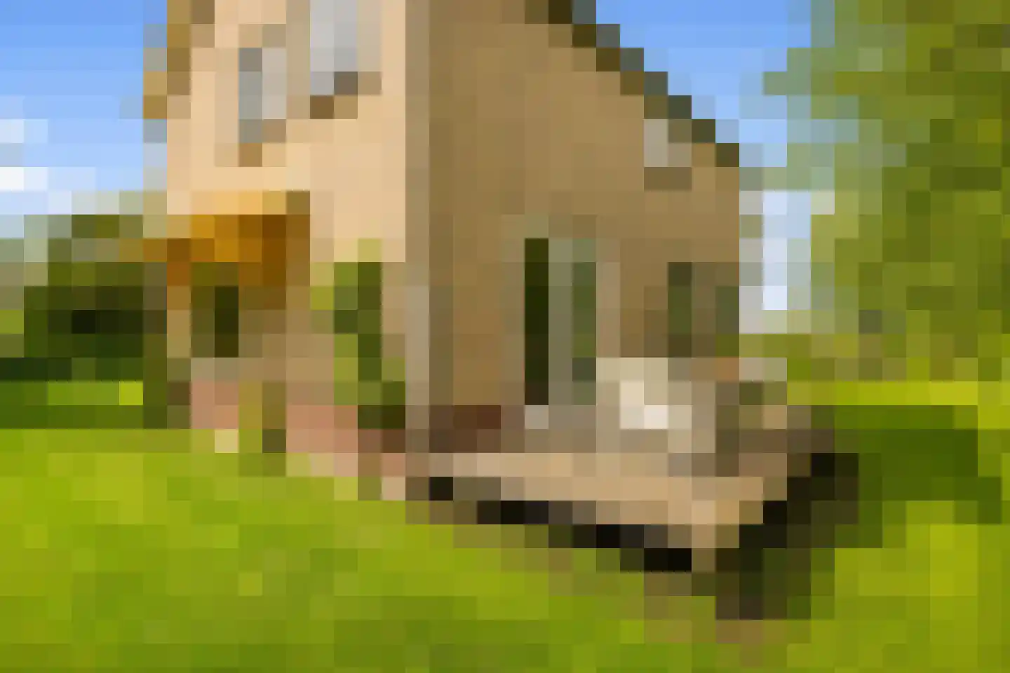 Botsholsedwarsweg 2 Waverveen thumbnail 51