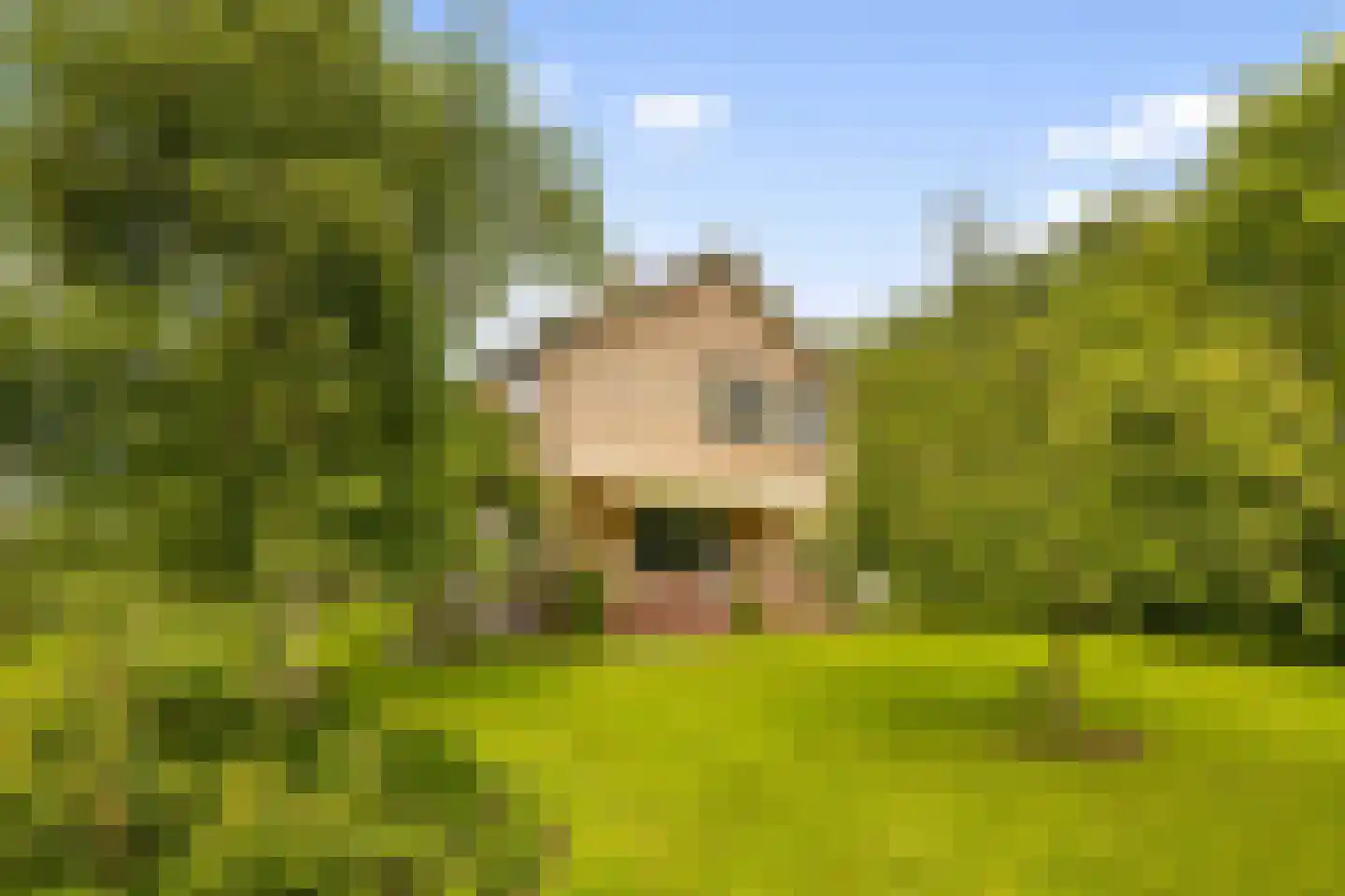Botsholsedwarsweg 2 Waverveen thumbnail 53
