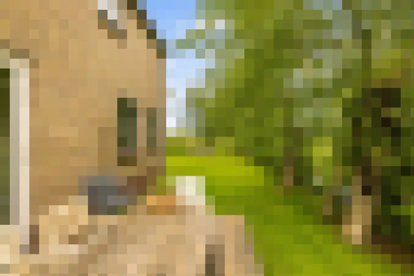 Botsholsedwarsweg 2 Waverveen thumbnail 56