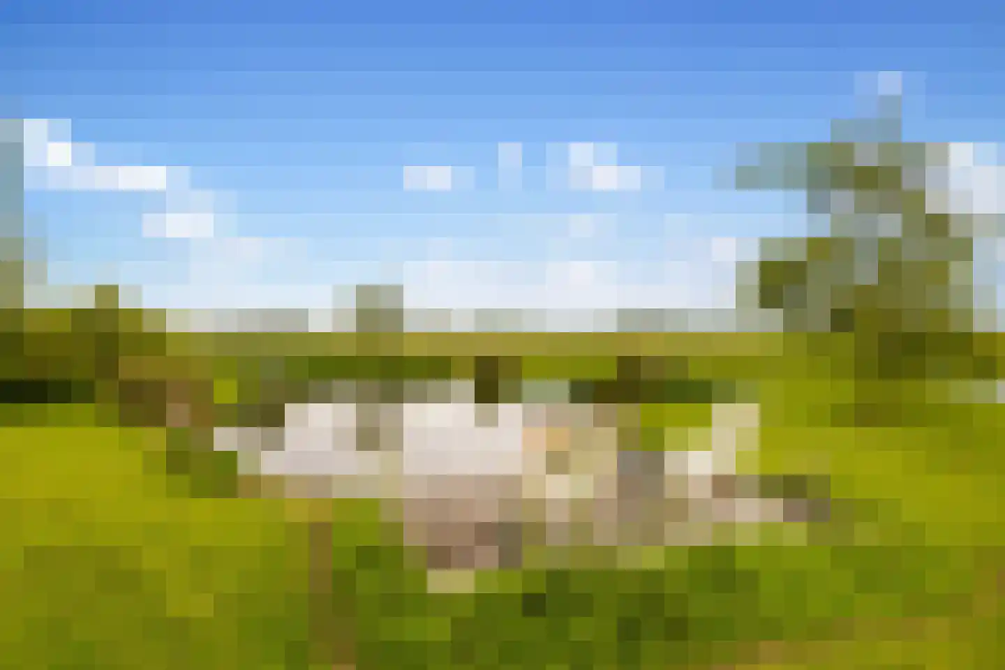 Botsholsedwarsweg 2 Waverveen thumbnail 6