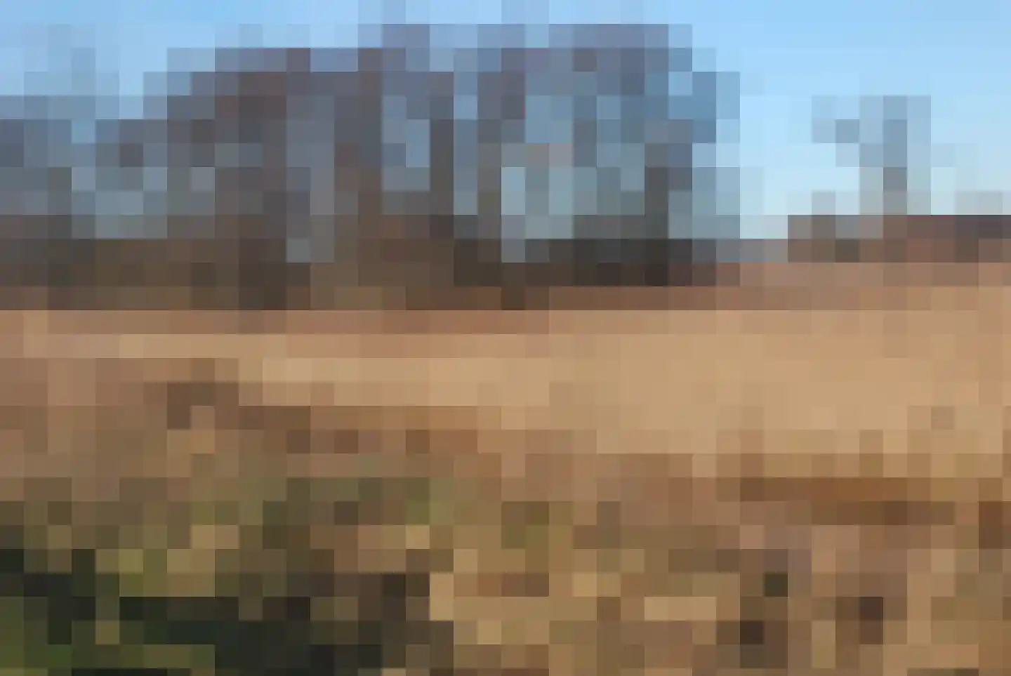 Botsholsedwarsweg 2 Waverveen thumbnail 60