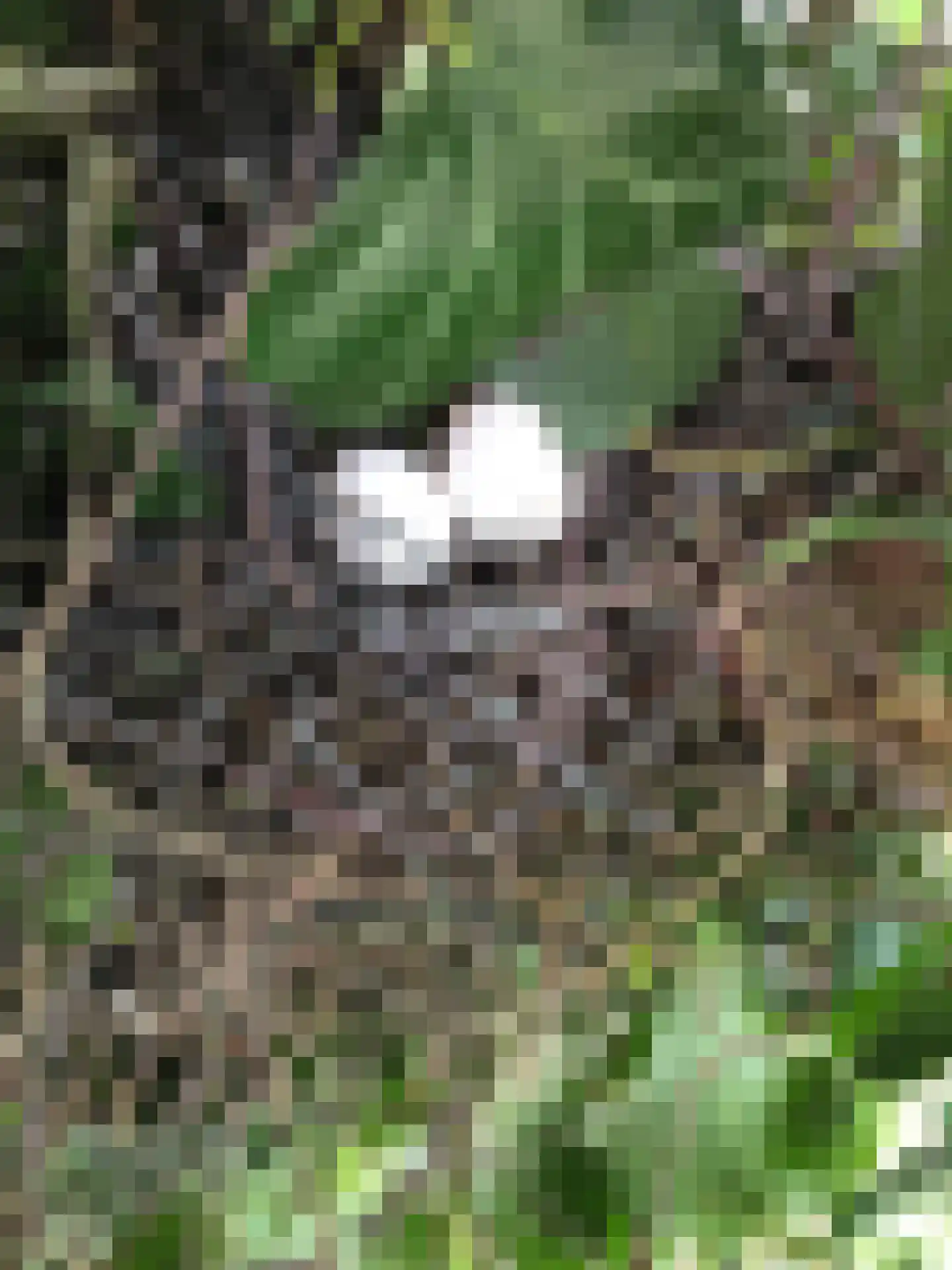 Botsholsedwarsweg 2 Waverveen thumbnail 65