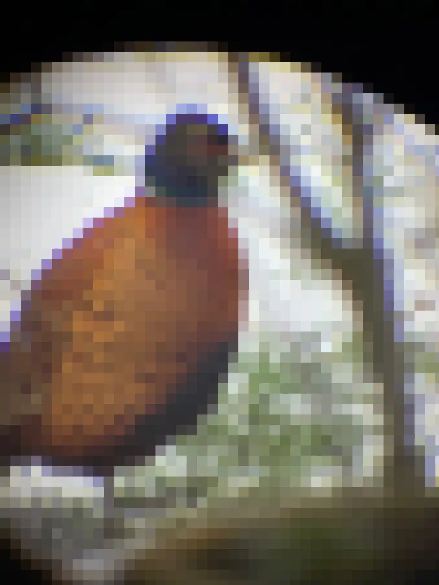 Botsholsedwarsweg 2 Waverveen thumbnail 67