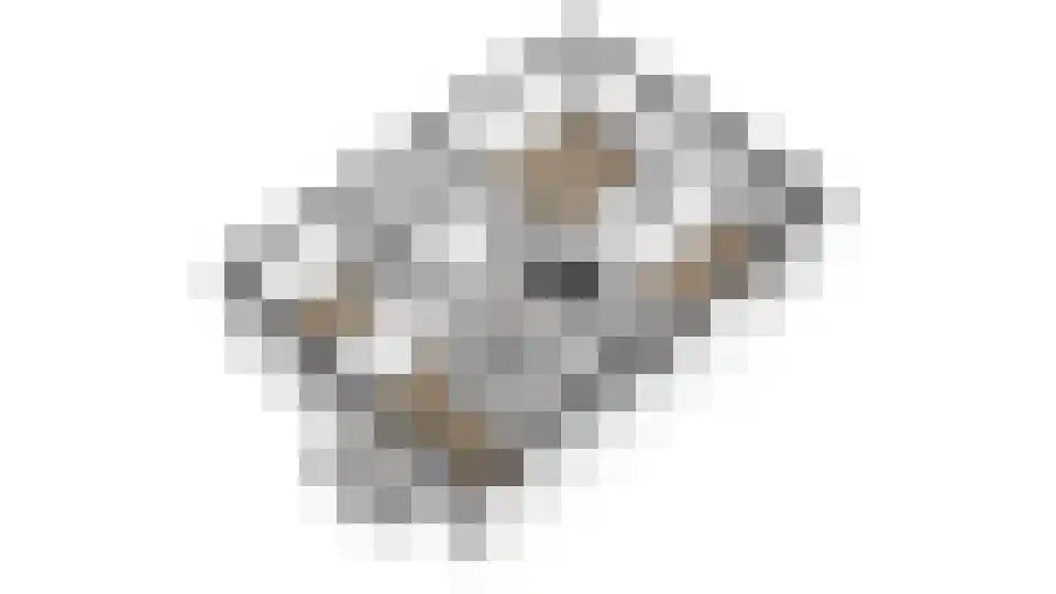 Botsholsedwarsweg 2 Waverveen thumbnail 76