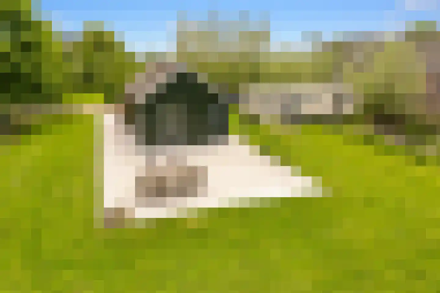Botsholsedwarsweg 2 Waverveen thumbnail 8