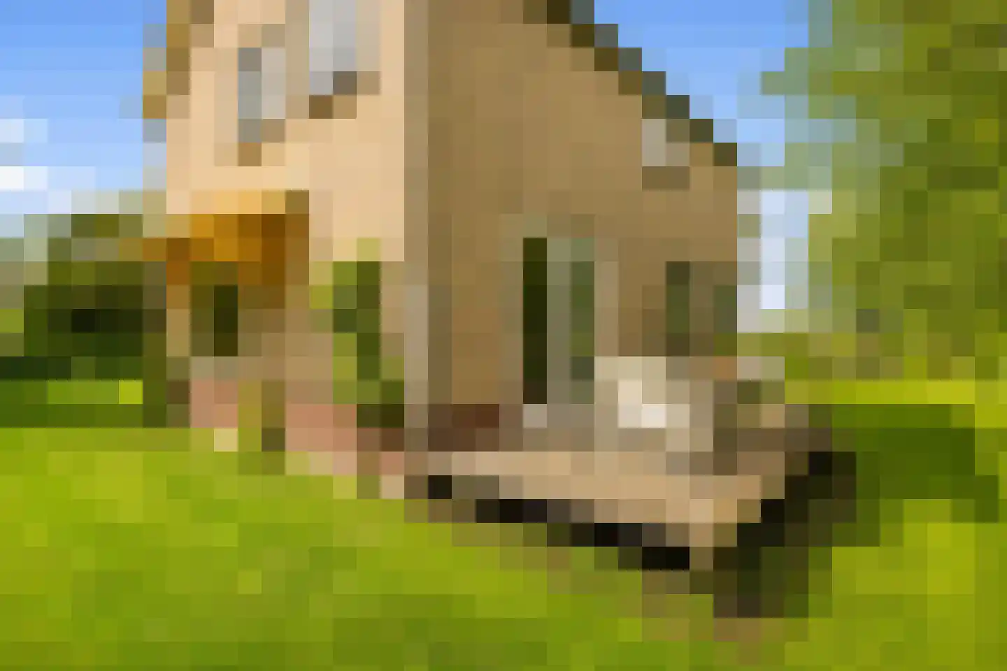 Botsholsedwarsweg 2 Waverveen thumbnail 9
