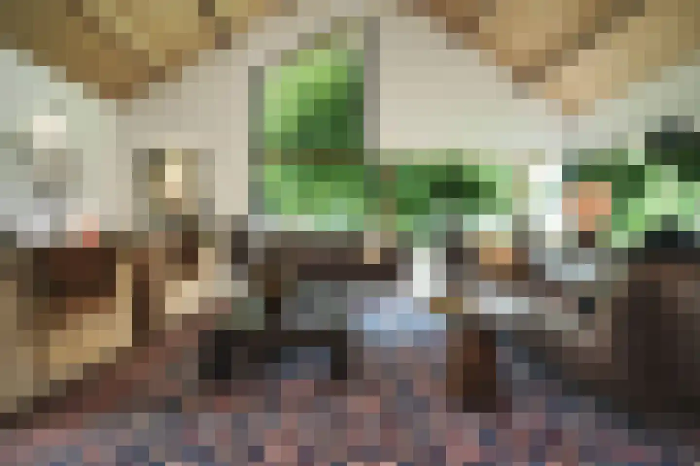 Botsholsedwarsweg 3 Waverveen thumbnail 11