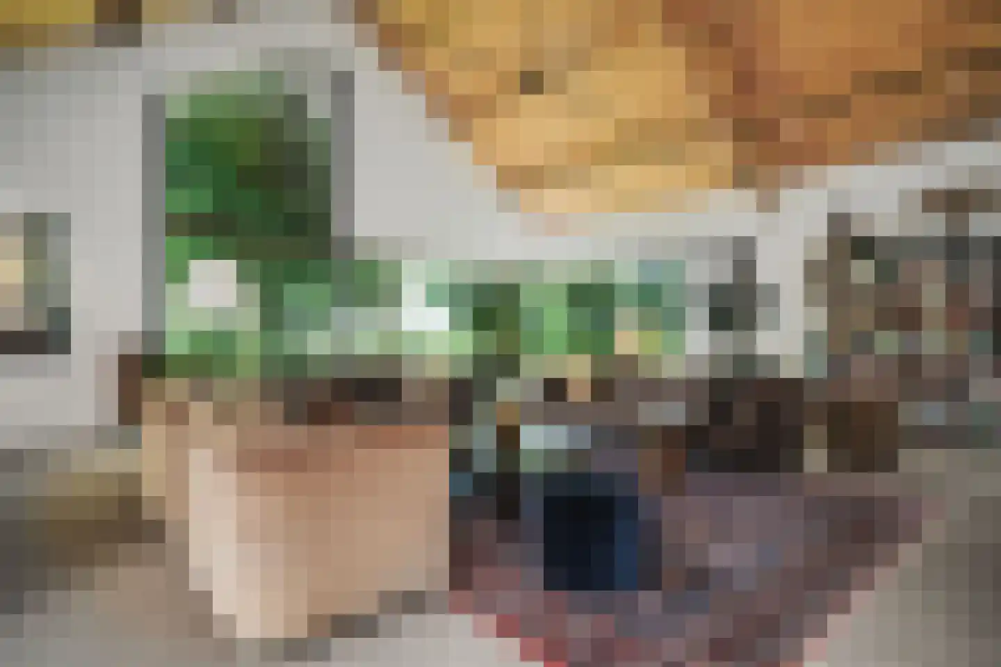 Botsholsedwarsweg 3 Waverveen thumbnail 12