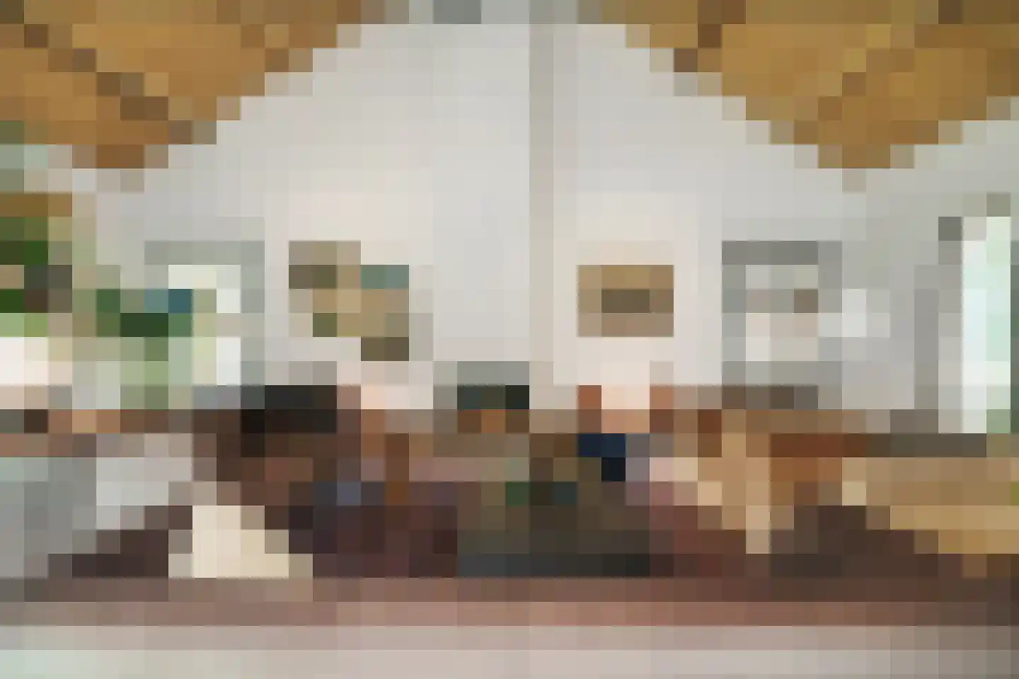 Botsholsedwarsweg 3 Waverveen thumbnail 13