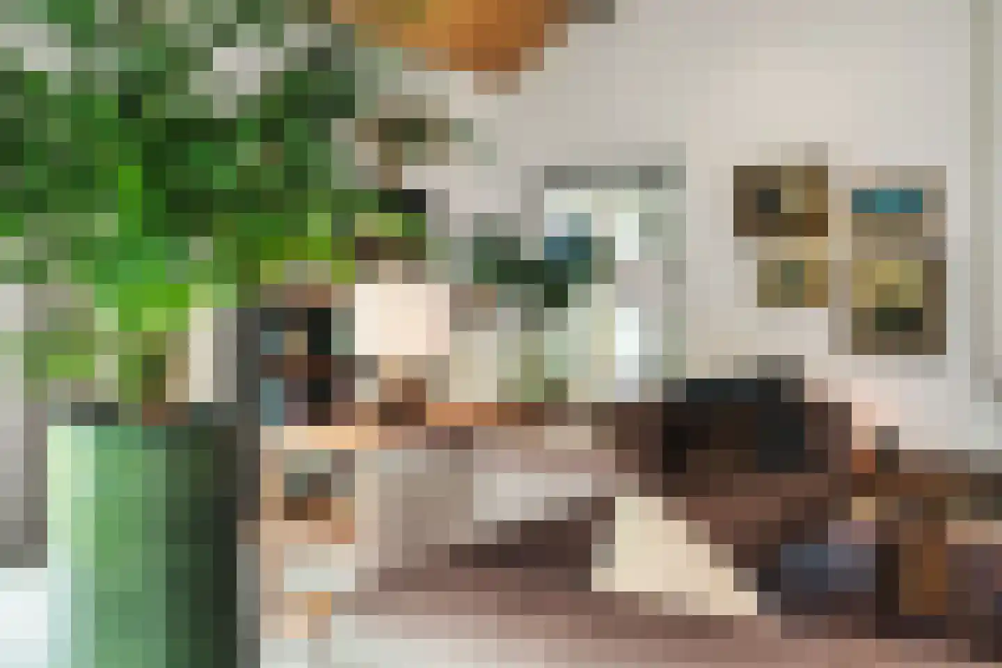 Botsholsedwarsweg 3 Waverveen thumbnail 14