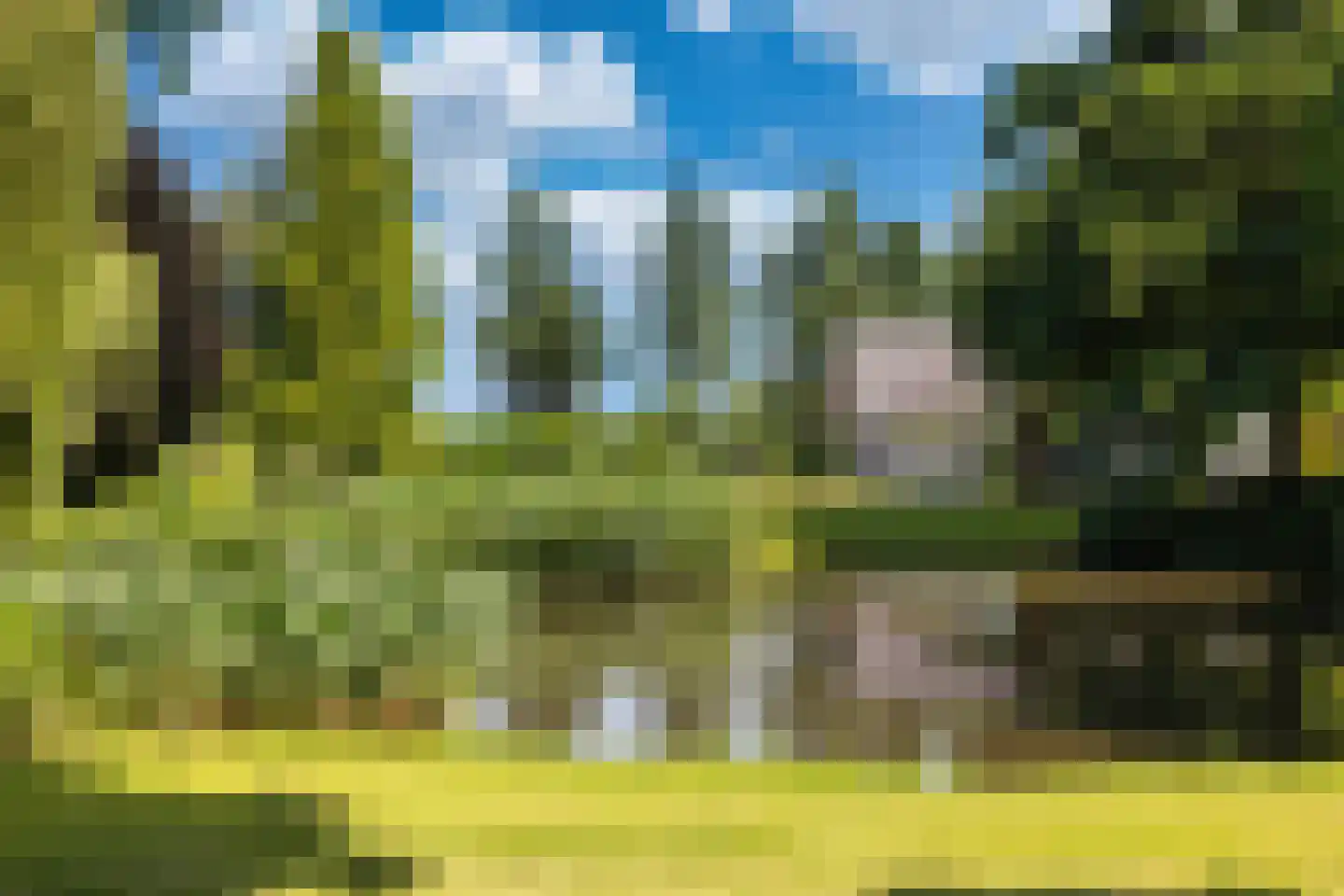 Botsholsedwarsweg 3 Waverveen thumbnail 16