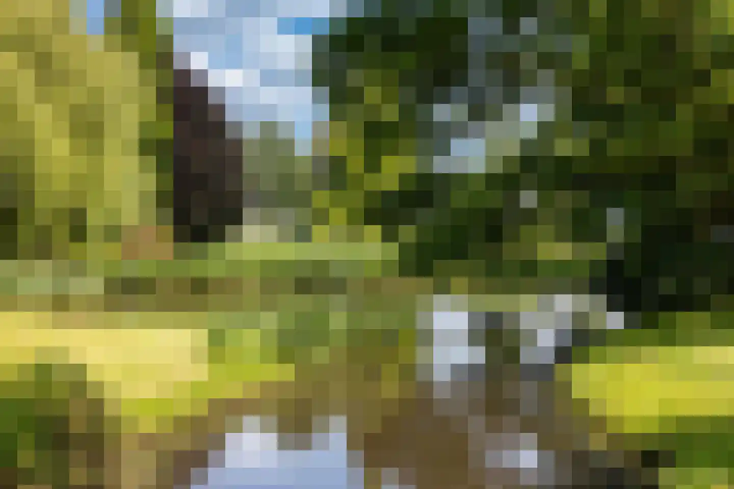 Botsholsedwarsweg 3 Waverveen thumbnail 17