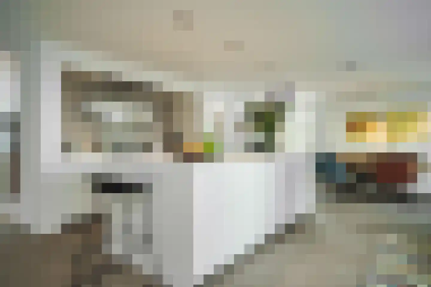 Botsholsedwarsweg 3 Waverveen thumbnail 19