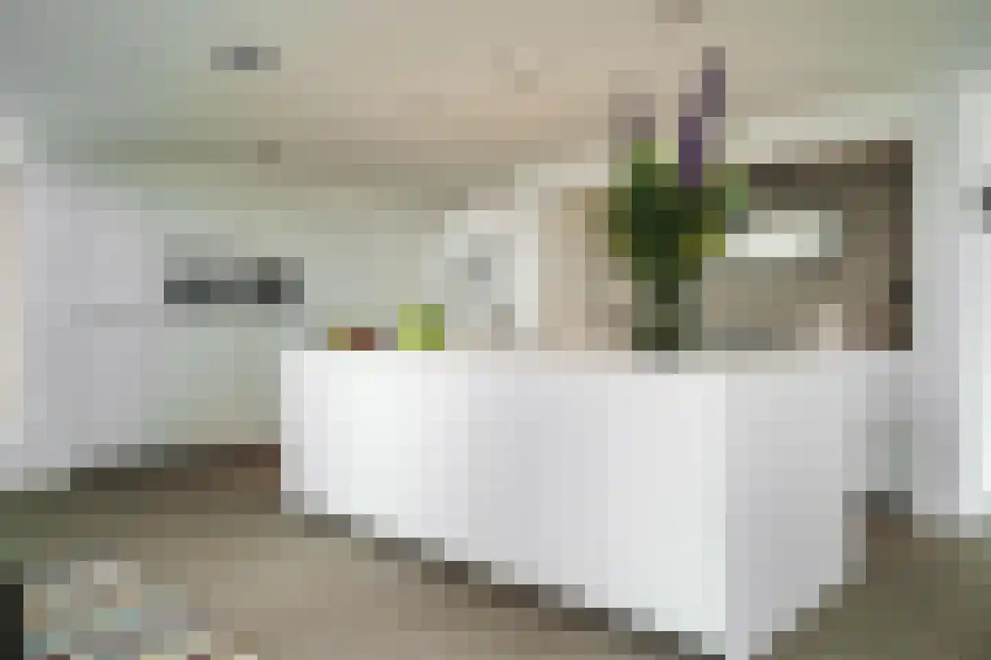 Botsholsedwarsweg 3 Waverveen thumbnail 21