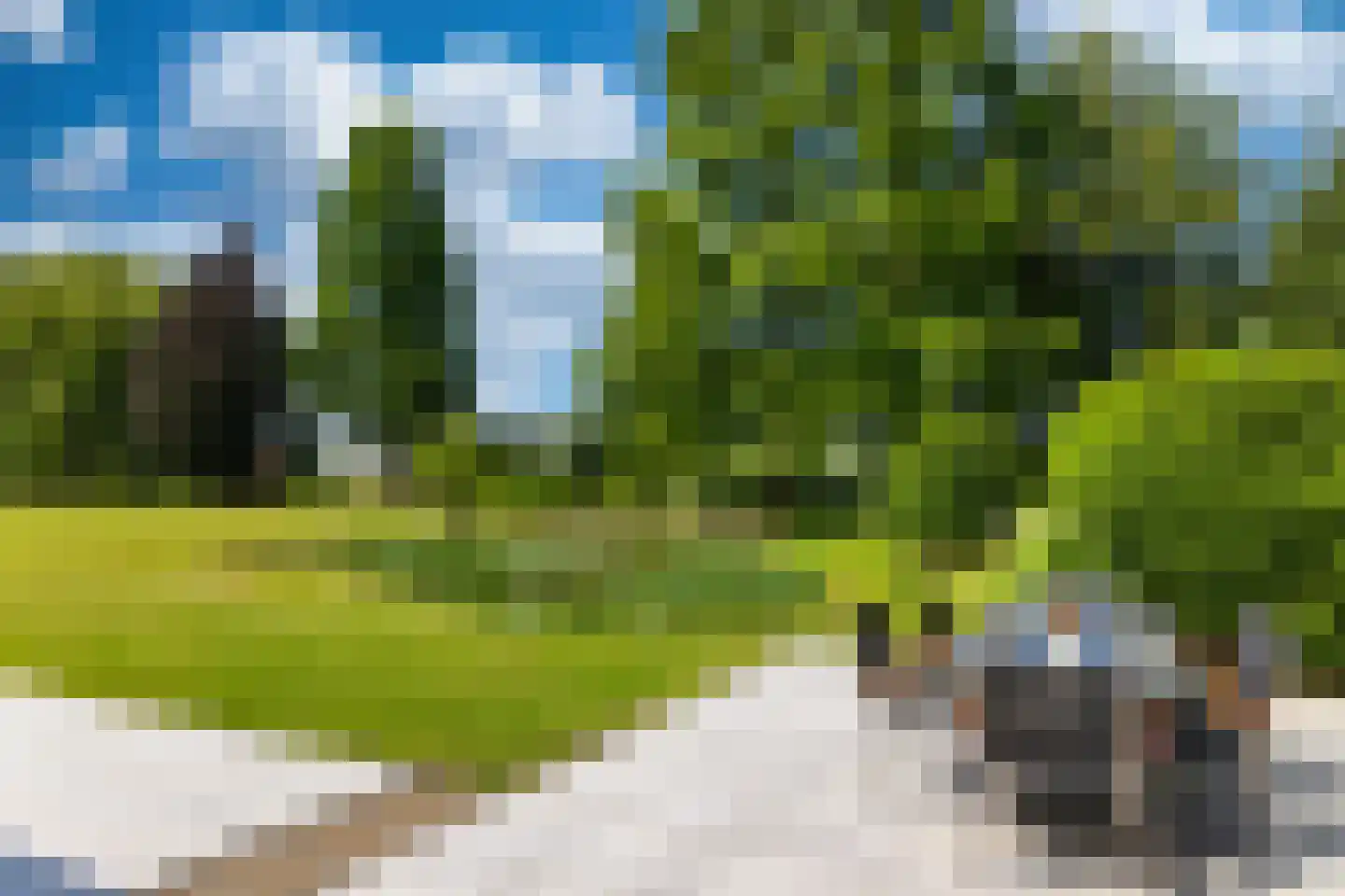 Botsholsedwarsweg 3 Waverveen thumbnail 23