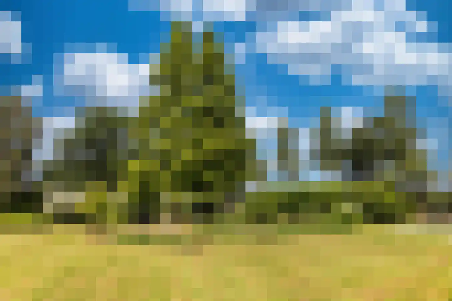 Botsholsedwarsweg 3 Waverveen thumbnail 24