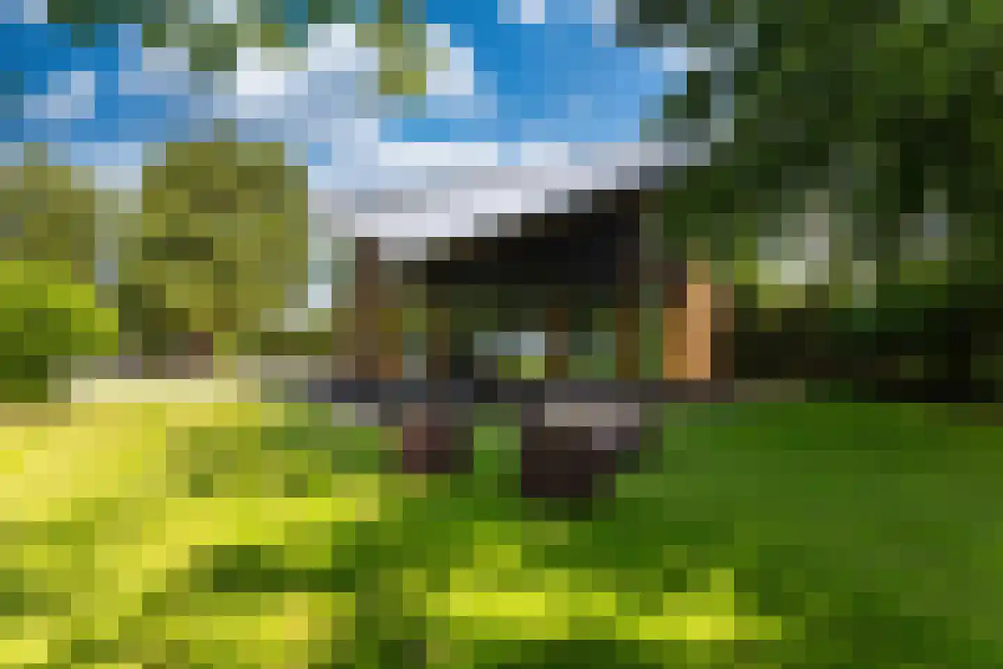 Botsholsedwarsweg 3 Waverveen thumbnail 35