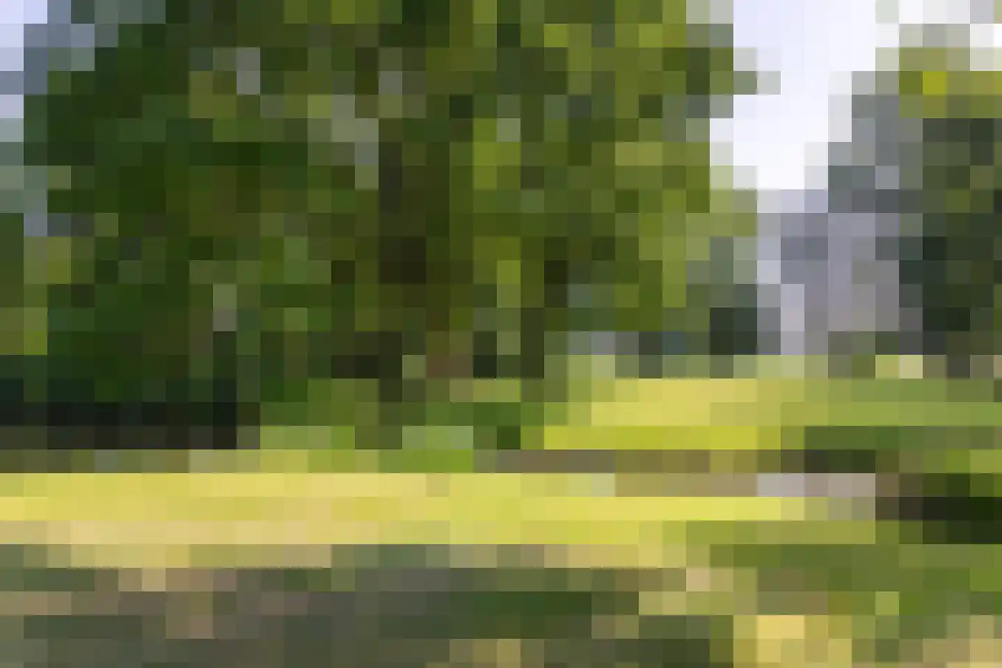 Botsholsedwarsweg 3 Waverveen thumbnail 37