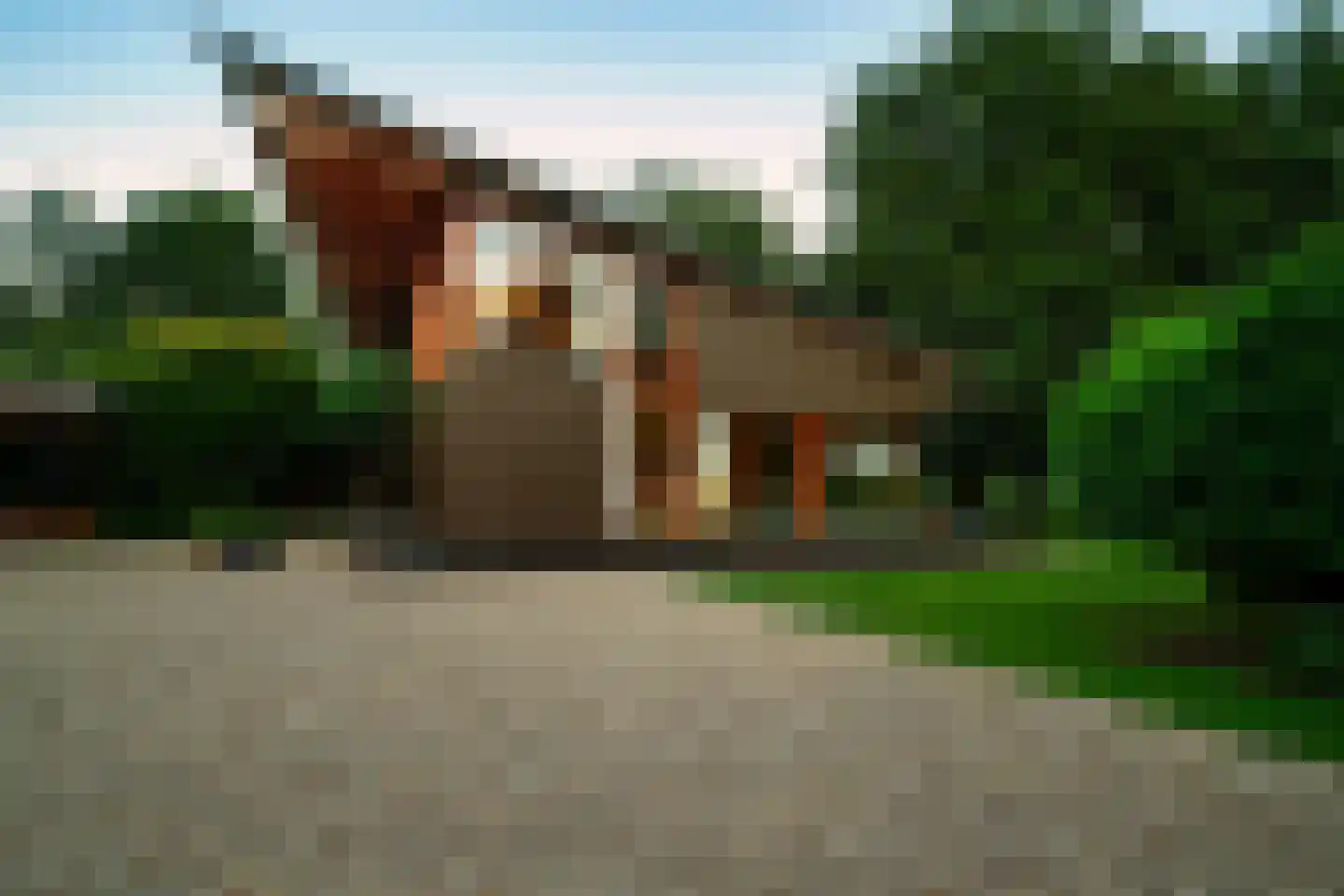 Botsholsedwarsweg 3 Waverveen thumbnail 38