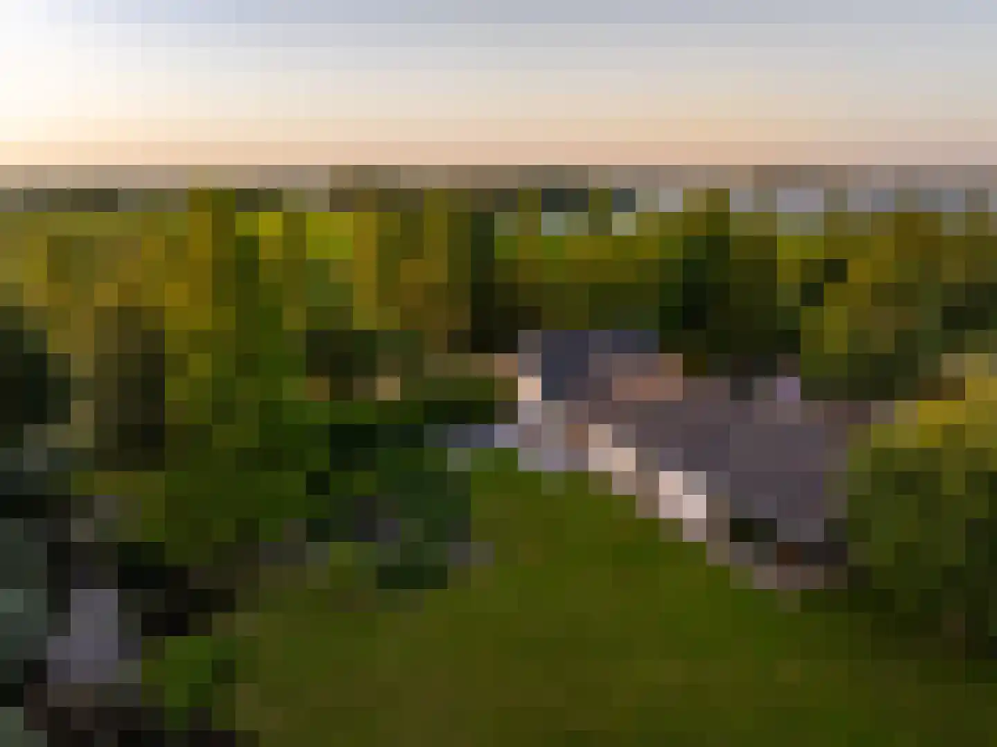 Botsholsedwarsweg 3 Waverveen thumbnail 5