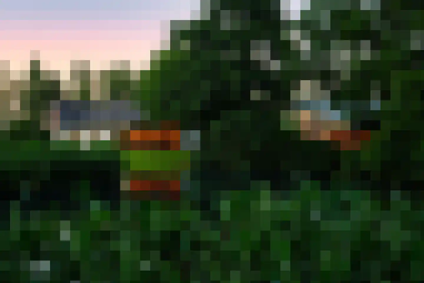 Botsholsedwarsweg 3 Waverveen thumbnail 54
