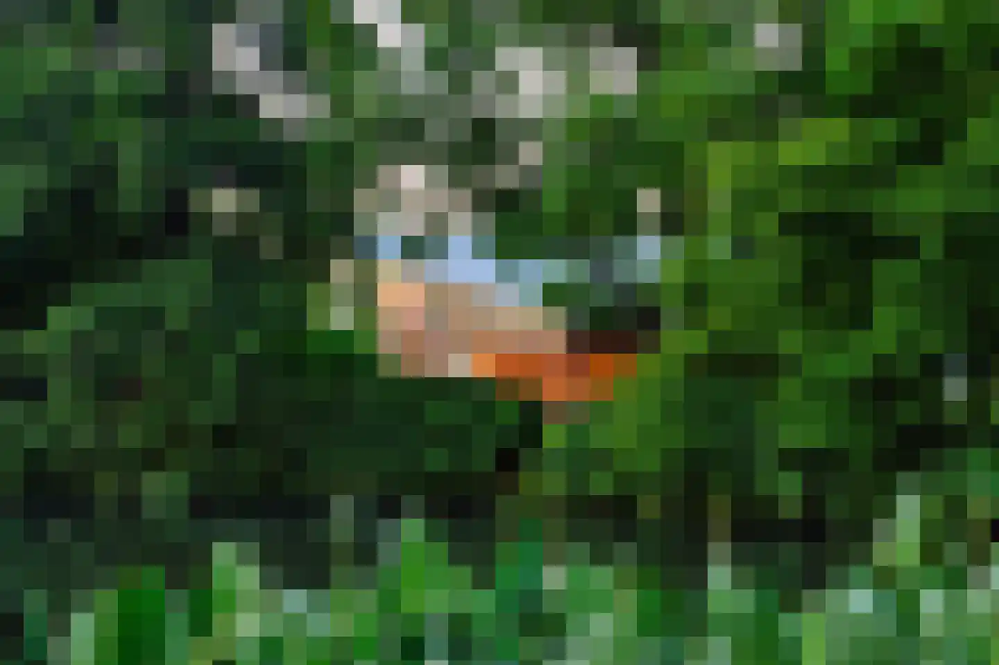 Botsholsedwarsweg 3 Waverveen thumbnail 55