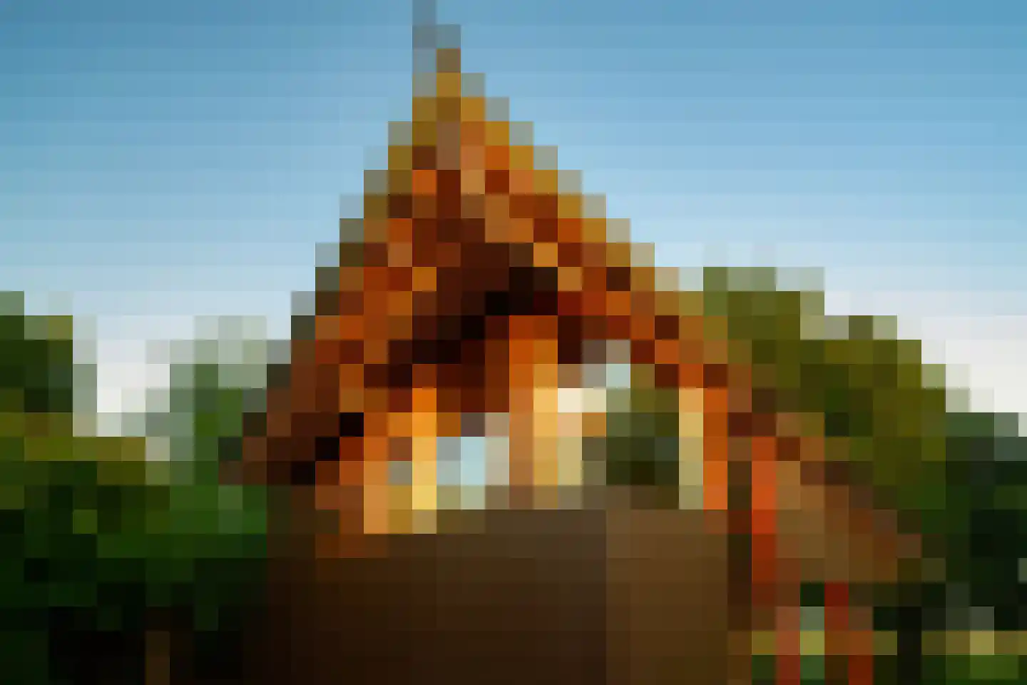 Botsholsedwarsweg 3 Waverveen thumbnail 56