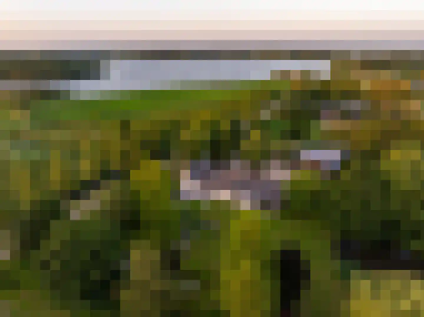 Botsholsedwarsweg 3 Waverveen thumbnail 59